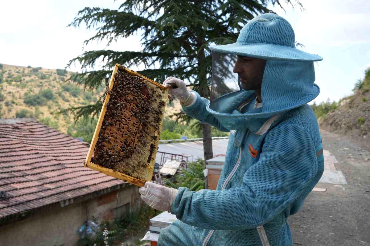 Ankara'da genç arıcı 1200 endemik bitkiyle 3 ton bal üretiyor