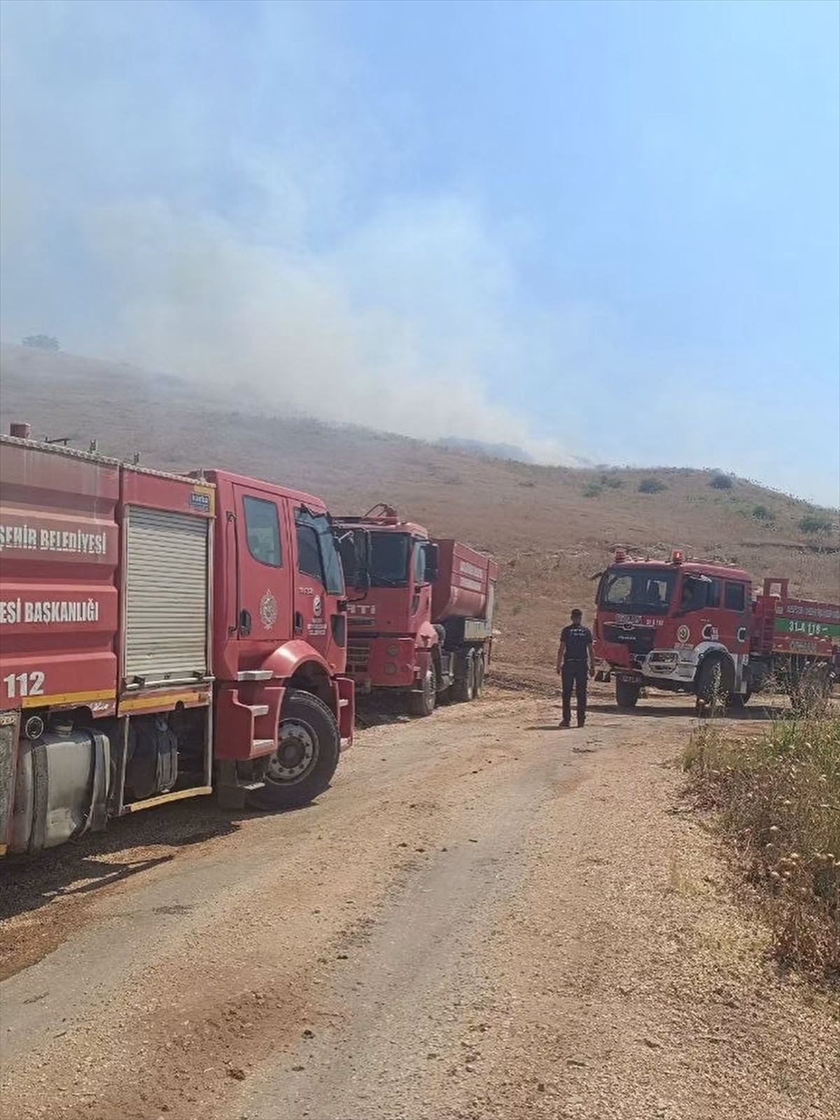 Hatay'da makilik alana sıçrayan anız yangını söndürüldü