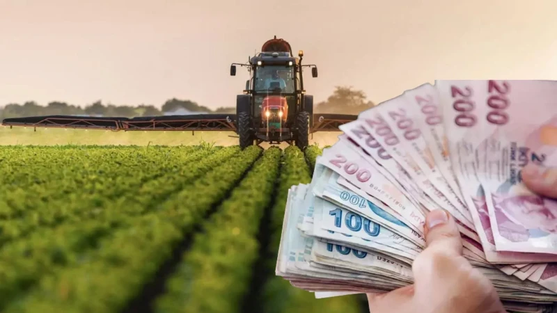 165 milyon 522 bin lira çiftçilerin hesabında! Hayvan hastalıkları tazminatı kaç para? Kırsal kalkınma desteği 2026 kaç TL oldu?