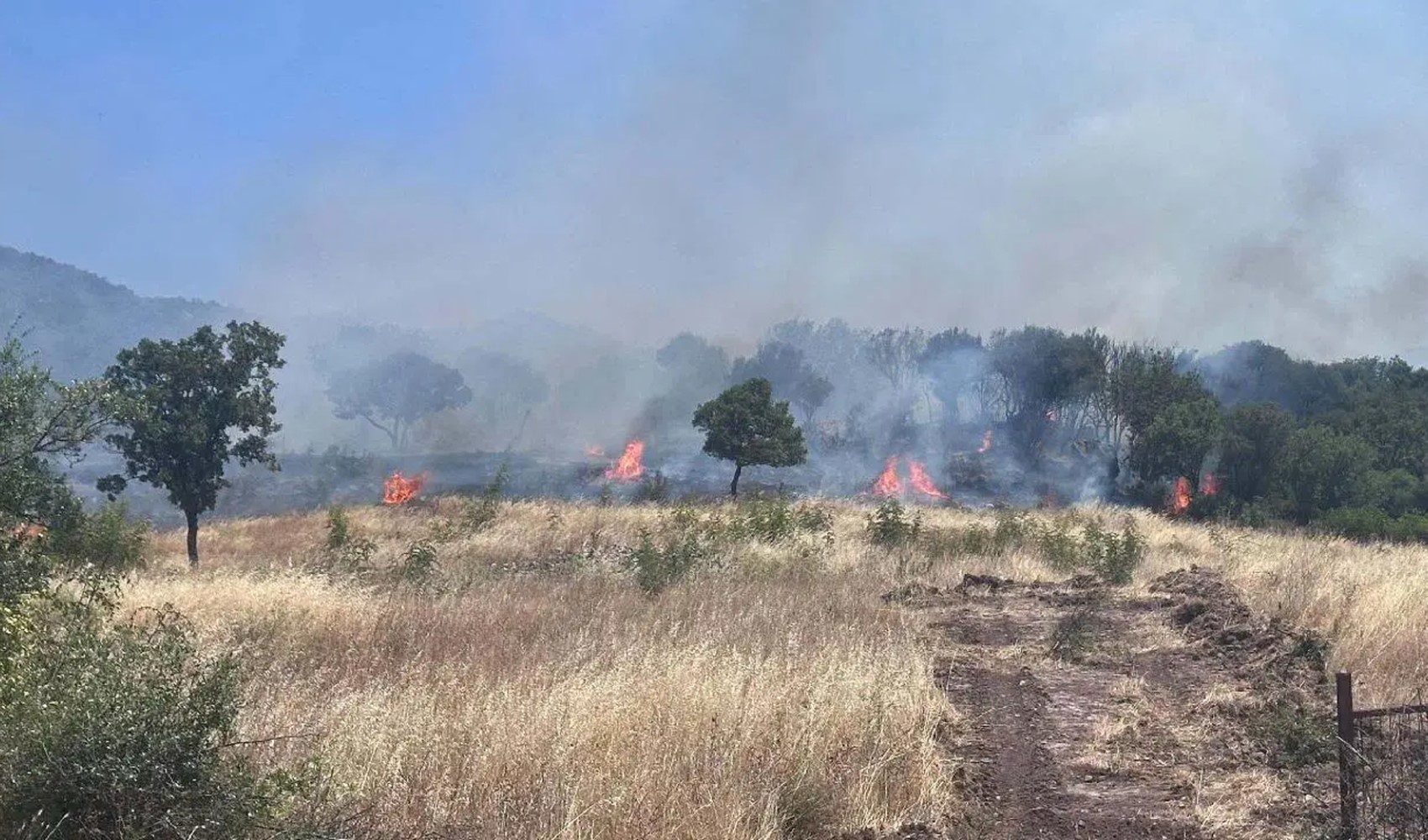 Çanakkale Ayvacık'ta çıkan orman yangınında ekipler seferber oldu