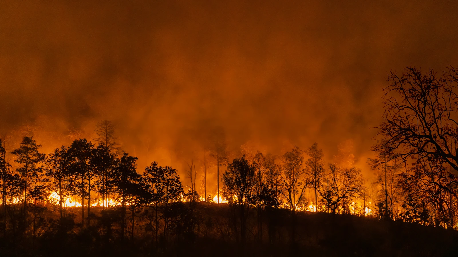 Süper El Niño alarmı! Yeni bir iklim krizine hazır mıyız?