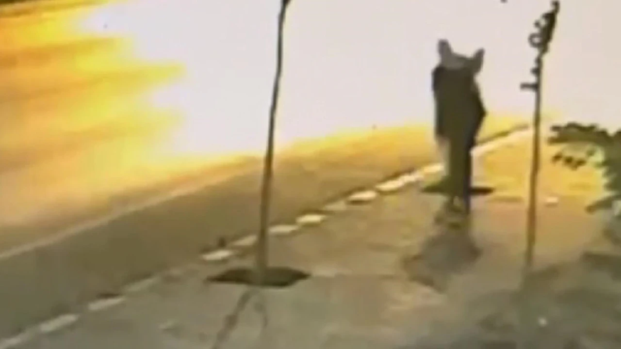 Gecenin karanlığında dikilen fidanları söküyordu: Önce kameraya sonra polis yakalandı