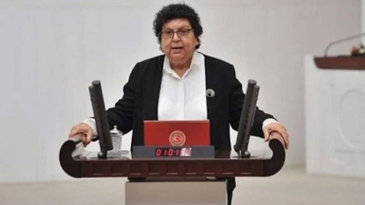 Kılıçdaroğlu tarafından azledilen eski milletvekili ve CHP avukatı Şenal Sarıhan: "Benim için demokrasi madalyasıdır"