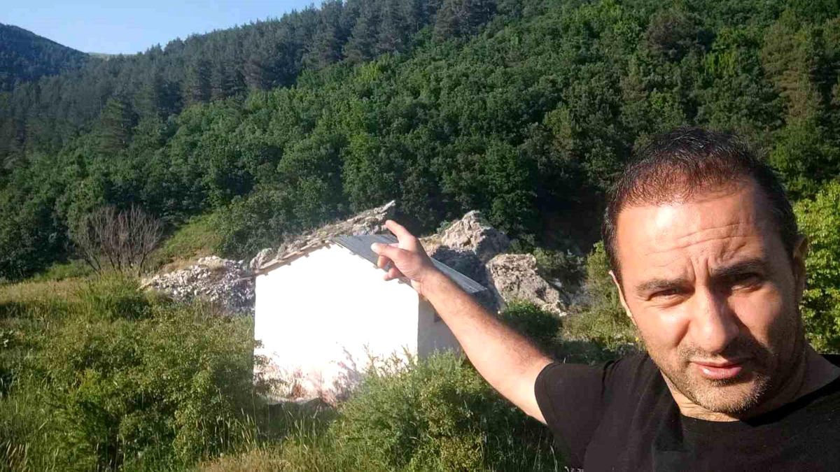 Anne ayı ve 3 yavrusu arazide görüntülendi