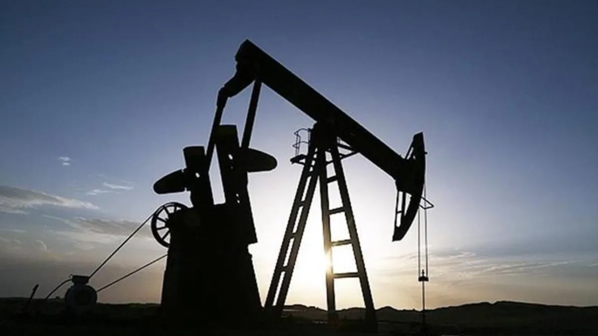 Nijerya'da 12 kaçak petrol tesisi kapatıldı