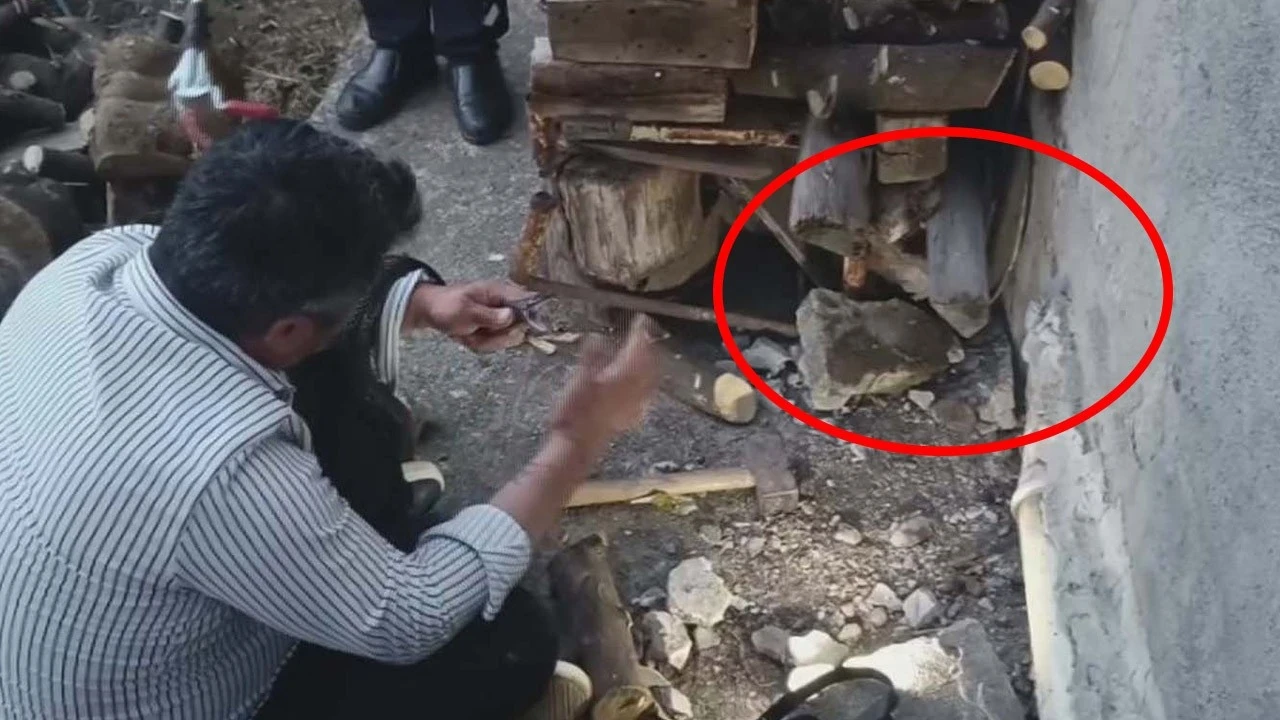 Hatay'da herkesin yaklaşmaya korktuğu deliye gözünü kırpmadan gitti! 2 tanesini oradan çekip aldı
