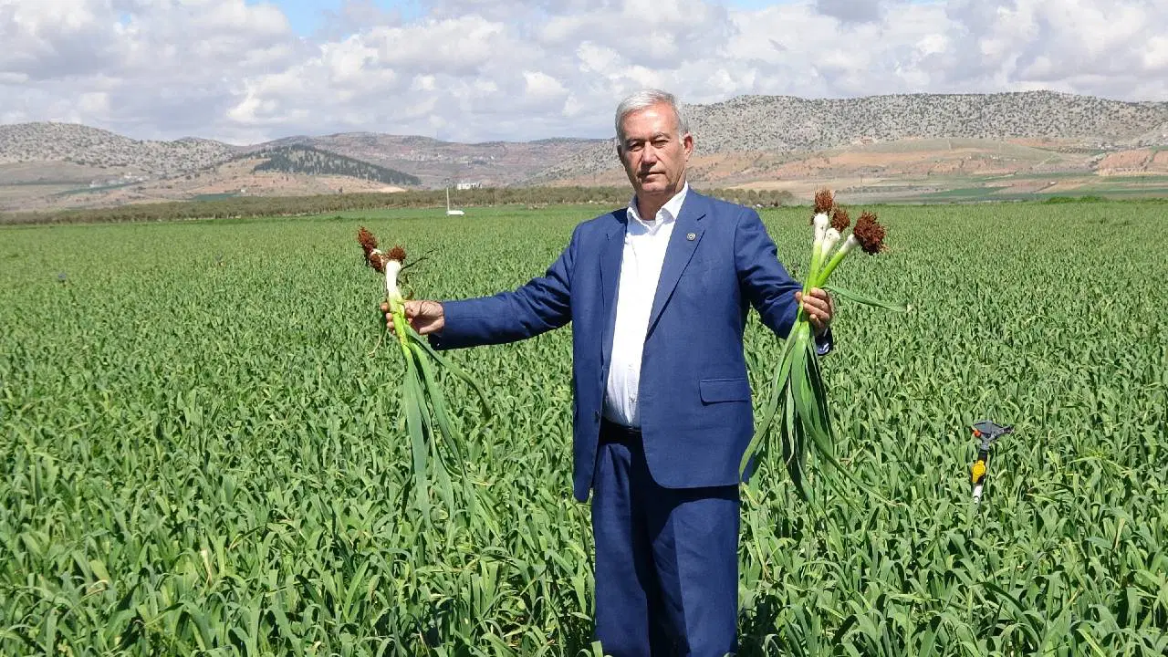 Toprak altında 9 aylık sabır: Güneydoğu'nun beyaz altını! Şeflerin vazgeçilmezi...