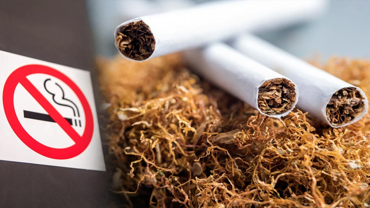 Sağlık Bakanlığı Düğmeye Bastı: Sigaraya Yeni Yasak Geliyor