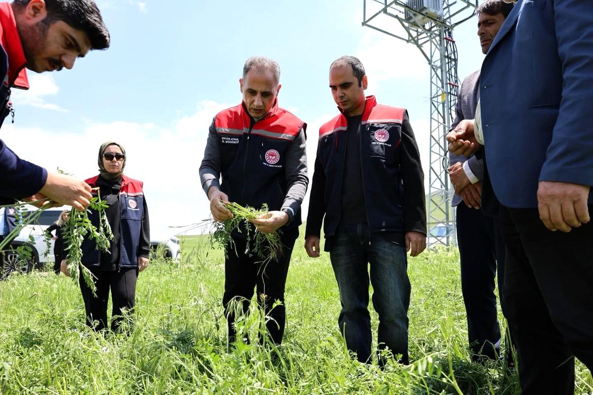 Akyaka'da dolu yağışı tarım arazilerini vurdu: Hasar tespit çalışmaları sürüyor