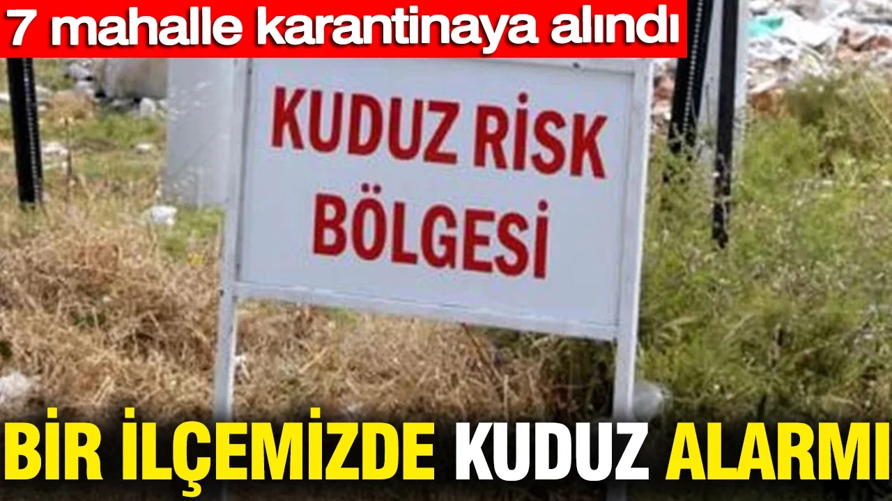 Bir ilçemizde kuduz alarmı: 7 mahalle karantinaya alındı