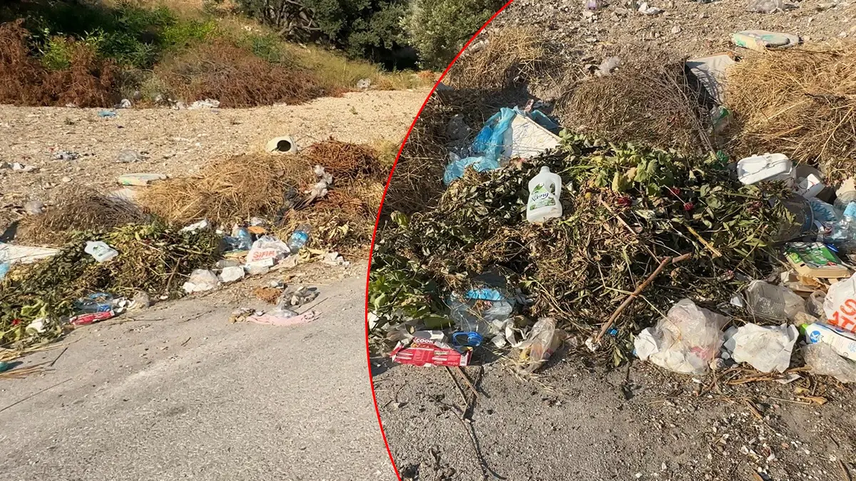 CHP'li belediyede çöp isyanı! Konteynerler kaldırıldı, sokak çöplüğe döndü