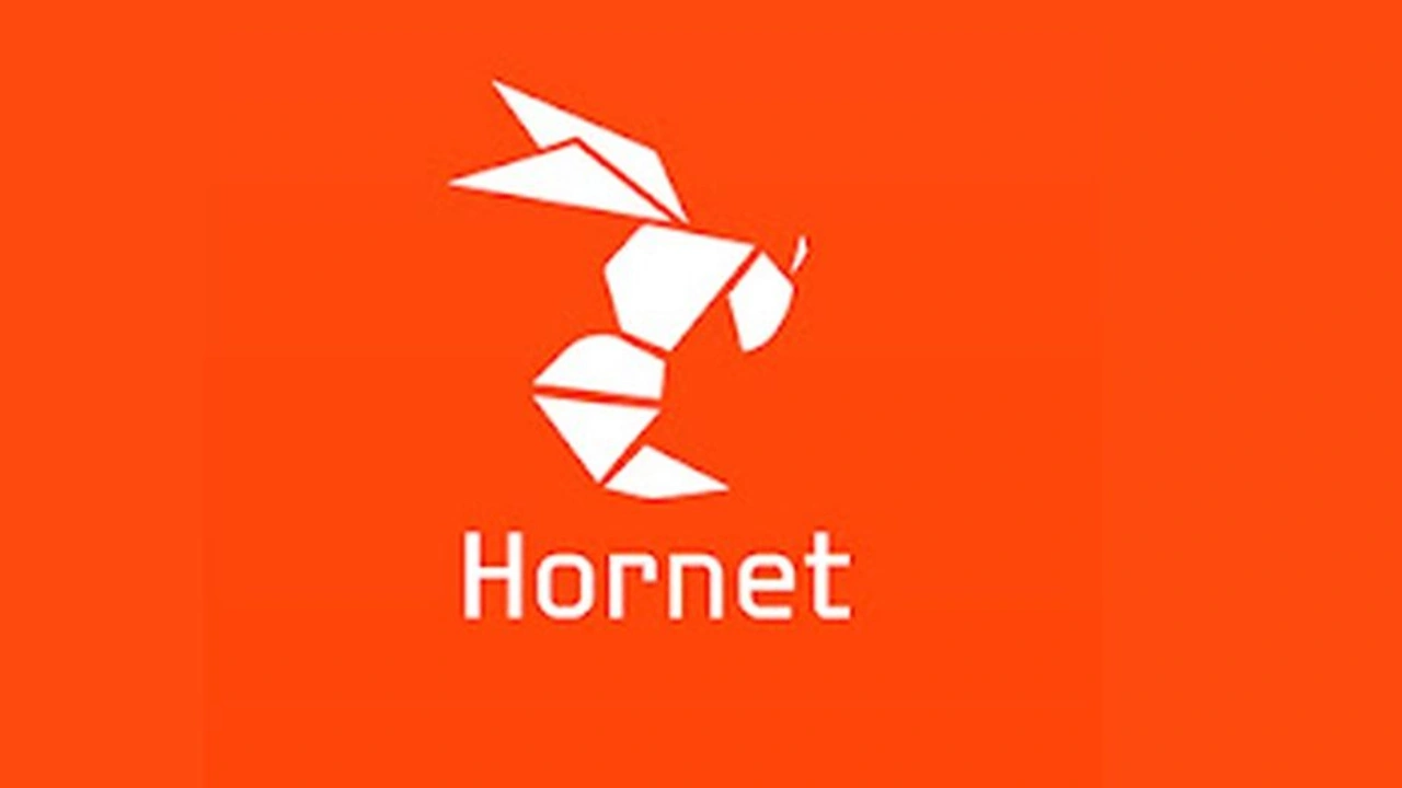 LGBTİ+ ağı Hornet'e erişim engeli geldi