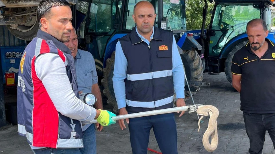 Iğdır'da arabanın motoruna giren yılan için kurtarma operasyonu