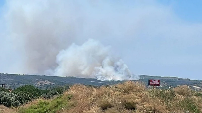 İzmir'de çöplükten makilik alana sıçrayan yangın söndürüldü