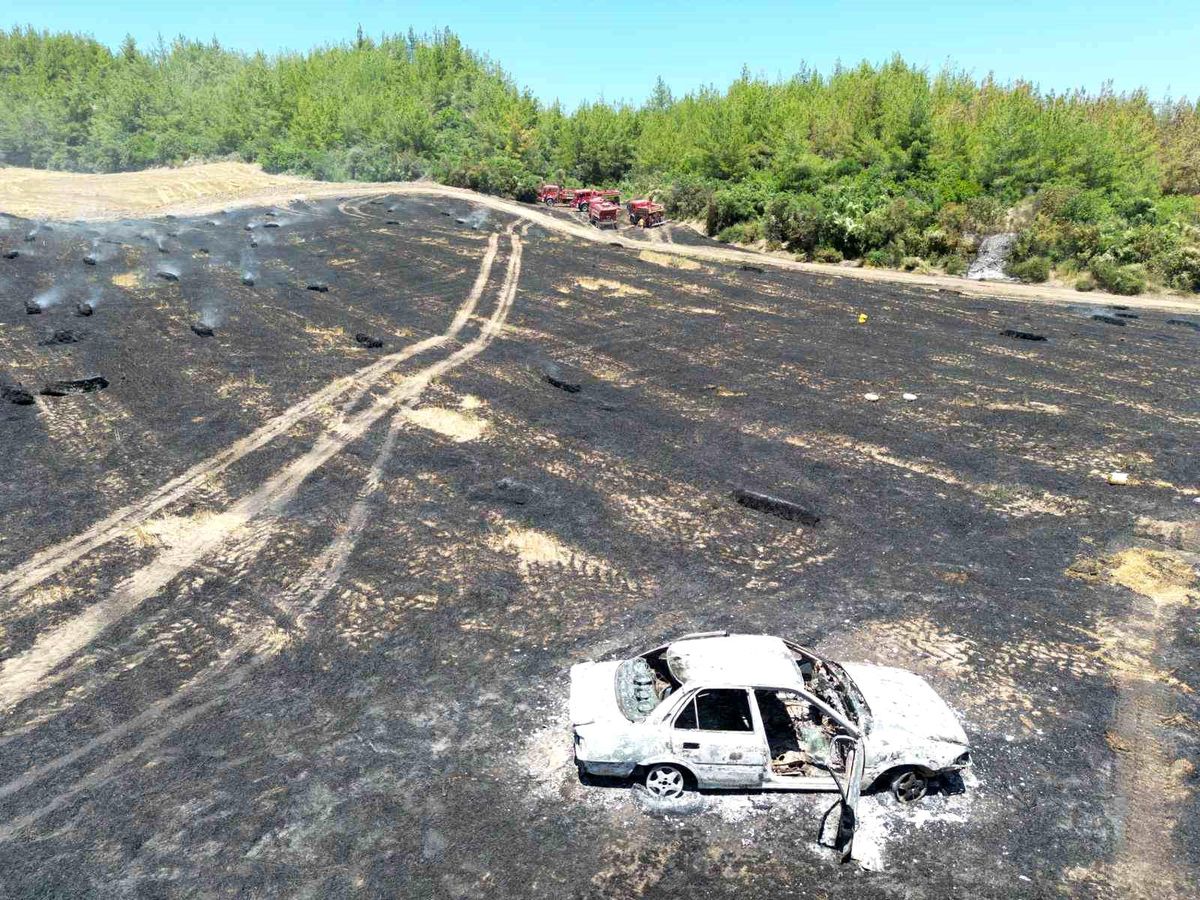 Otomobilde çıkan yangın ormana sıçradı