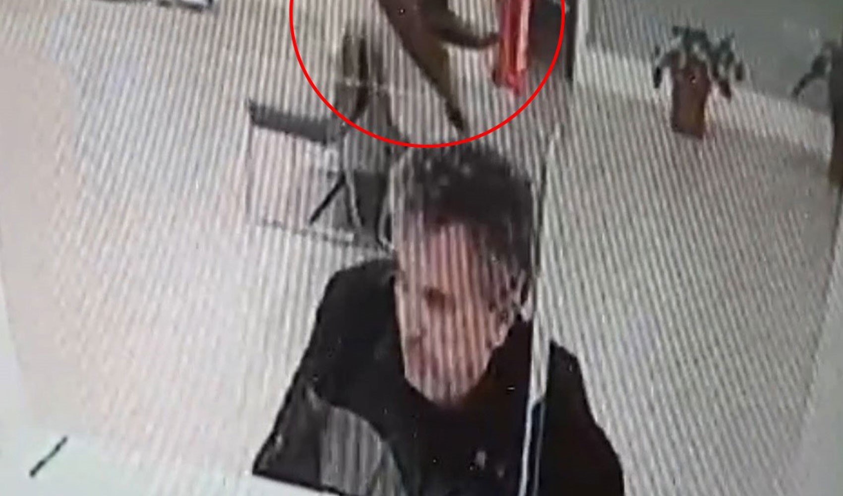 Bankada işlem yaparken üzerine kedi düştü
