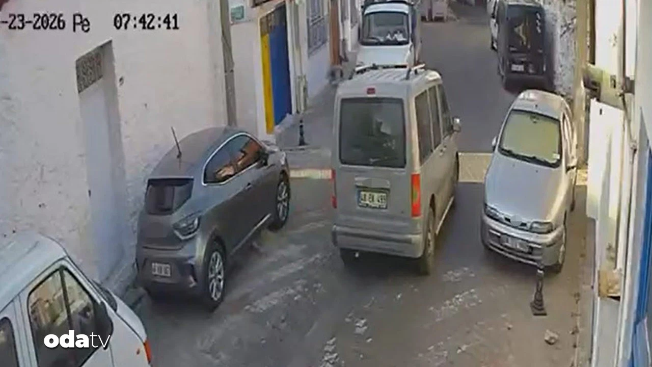 İki sokak kedisini ezdi, arkasına bile bakmadı