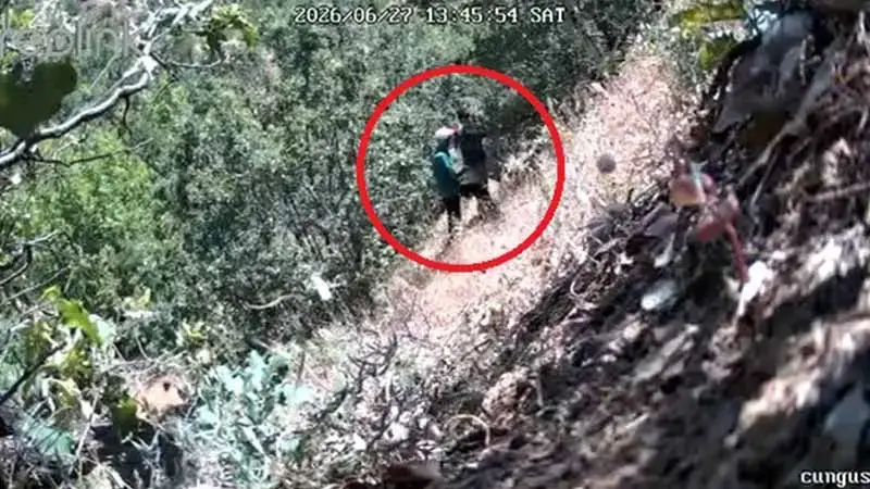 Kenevirlerin bakımını yaparken fotokapana yakalanan CHP ilçe başkanı ve oğluna gözaltı