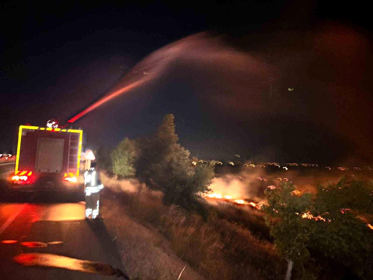 Hatay'da anız yangını zeytinliğe sıçradı: 200 dönüm arazi zarar gördü