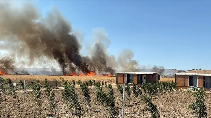 Tekirdağ'da tarlada çıkan yangın baraka ve konteynerlere sıçradı
