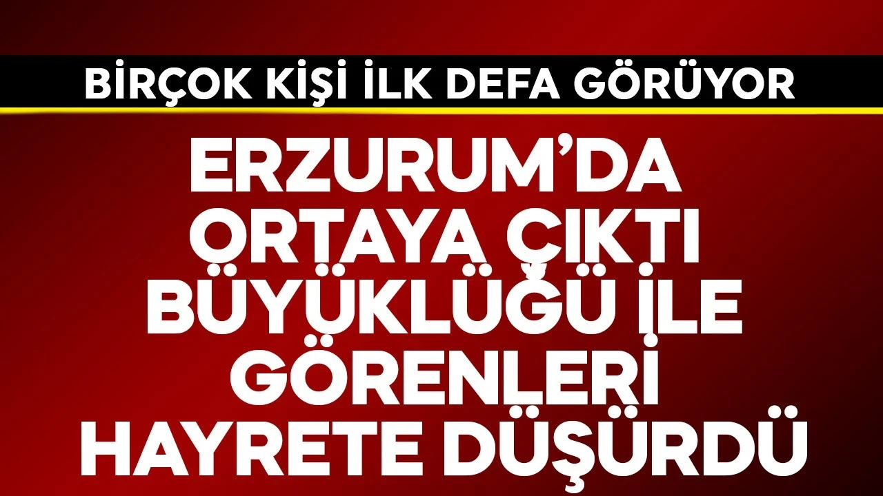 Erzurum'da ortaya çıktı! Büyüklüğü ile görenleri hayrete düşürdü