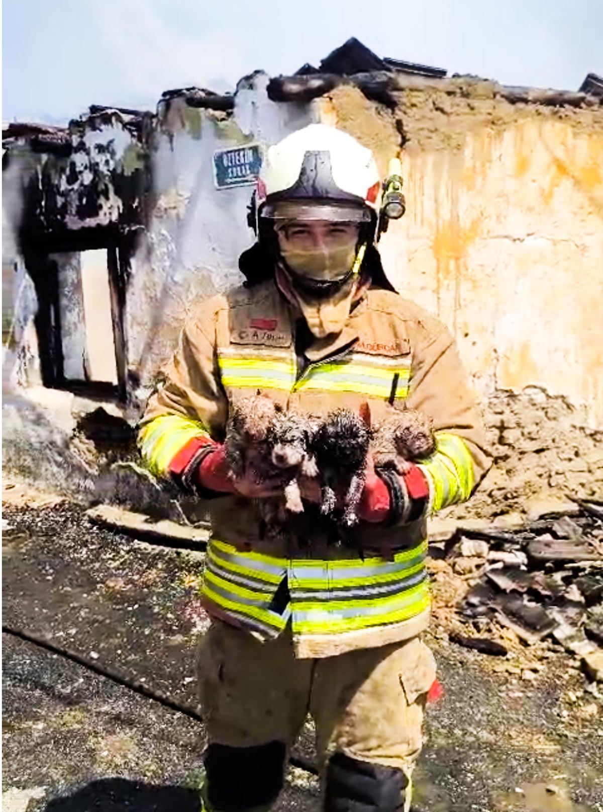 Yangında mahsur kalan köpek ve 4 yavrusu tedaviye alındı