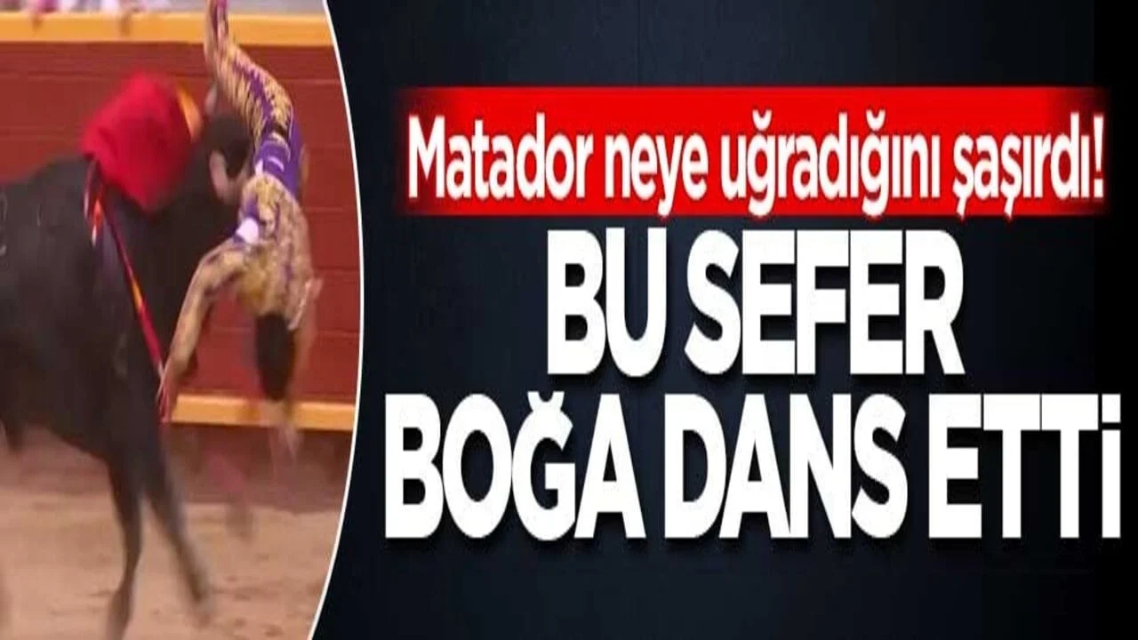 Matador neye uğradığını şaşırdı! Bu sefer boğa dans etti