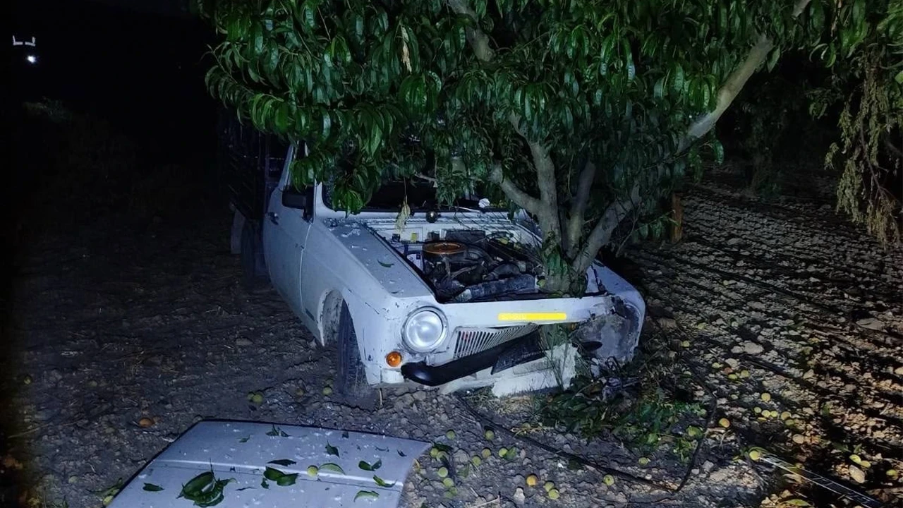 Kontrolden çıkan araç ağaca saplandı: 1 yaralı