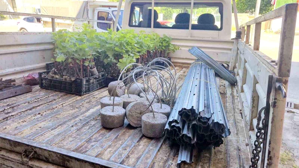Dinar'da Bağcılık Projesi başladı