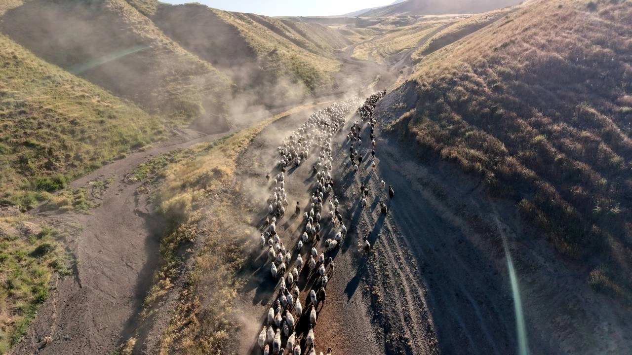 Bitlis'te yüzlercesi sabah ilk iş yola çıkıyor: Her gün 15 kilometre gidiyorlar