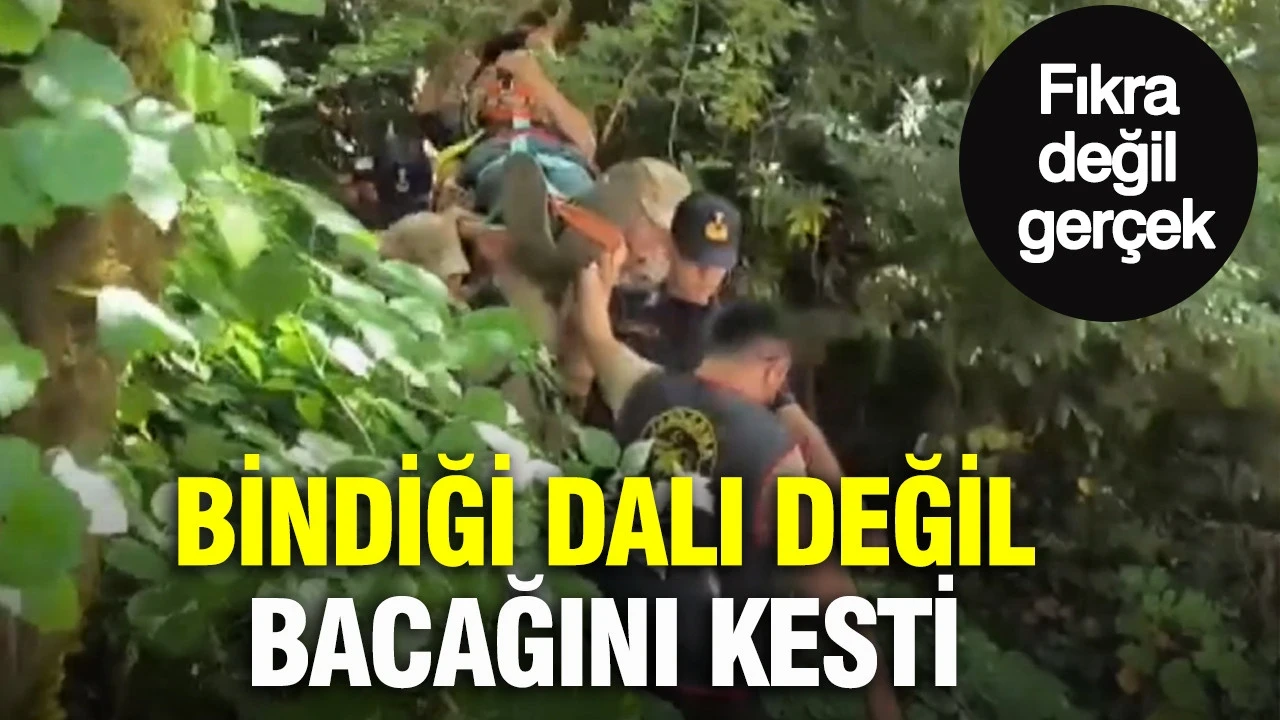 Fıkra değil gerçek: Bindiği dalı değil bacağını kesti: Bartın korku dolu anlar
