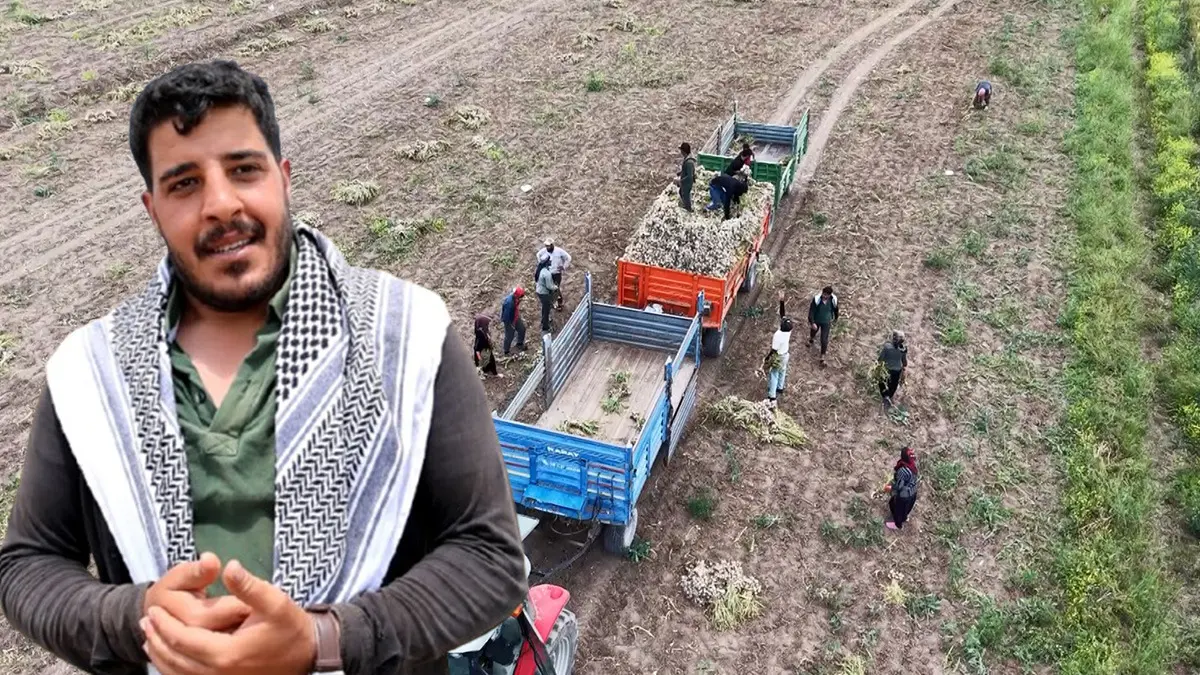 Bir aile başlık parası için çalışıyor! İstedikleri para da dudak uçuklattı