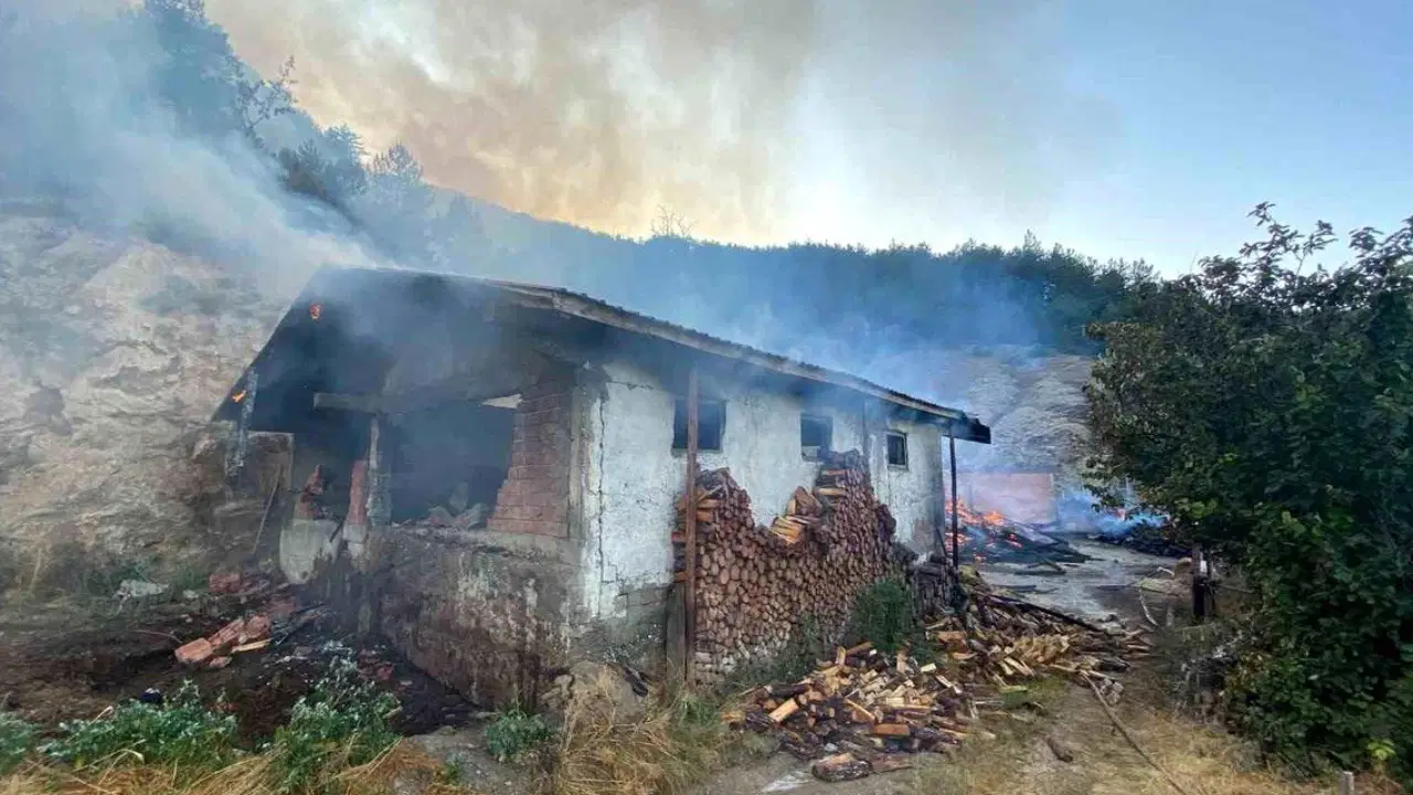 Kastamonu'da bir evde çıkan yangın ormanlık alana sıçradı
