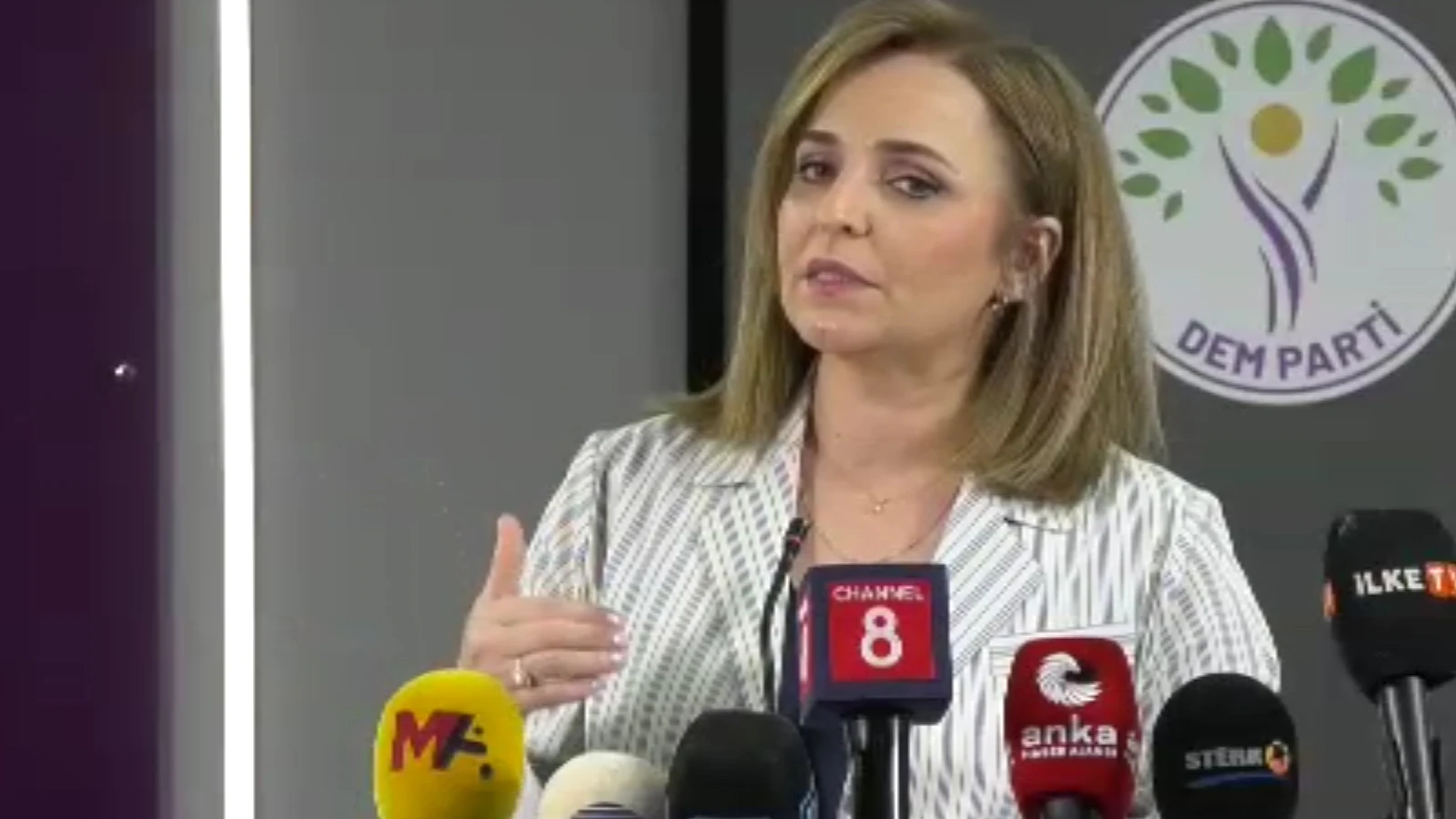 DEM Parti'li Doğan: Çerçeve yasayla ilgili mutabakat sağlandı