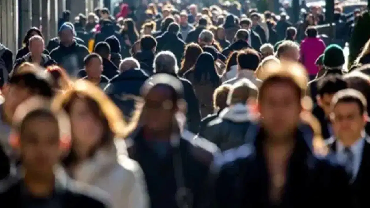 TÜİK 2025 yükseköğretim istihdam göstergelerini açıkladı: En çok kazandıran ve en hızlı iş bulan bölümler belli oldu