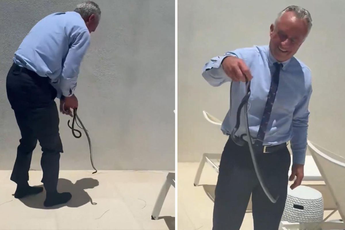 ABD Sağlık Bakanı, yılanı kendi elleriyle yakaladı