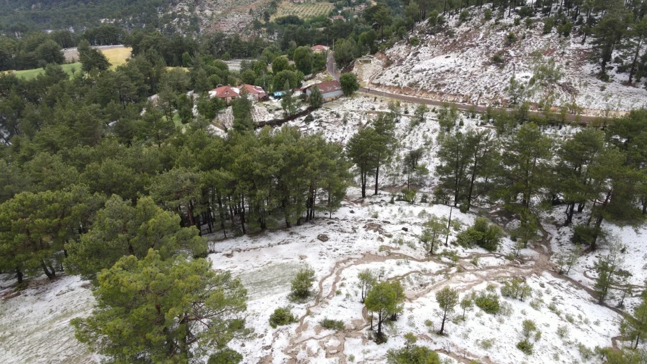 Üreticinin üzerine 'kabus' yağdı