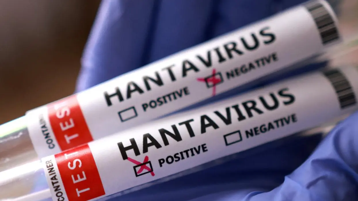 Hanta virüsü korkusu büyüyor mu? Bilim insanlarından açıklama geldi