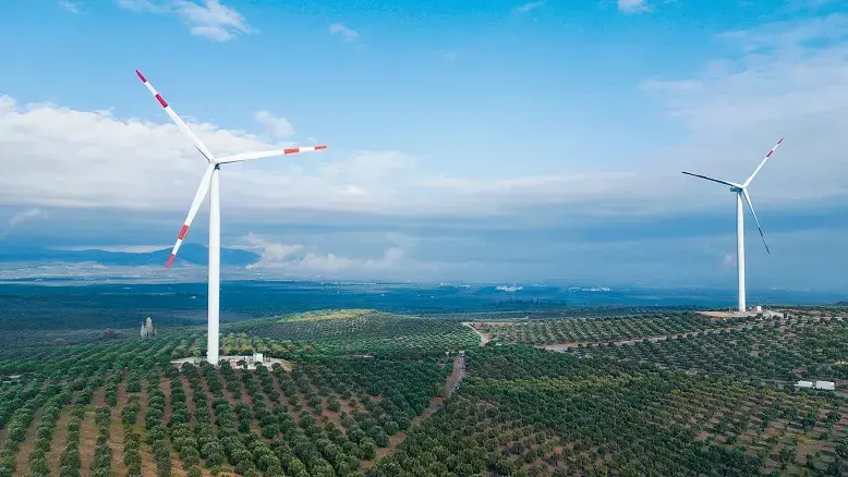 Enerjisa Üretim CEO'su Bayçöl'den Dünya Yenilenebilir Enerji Günü mesajı