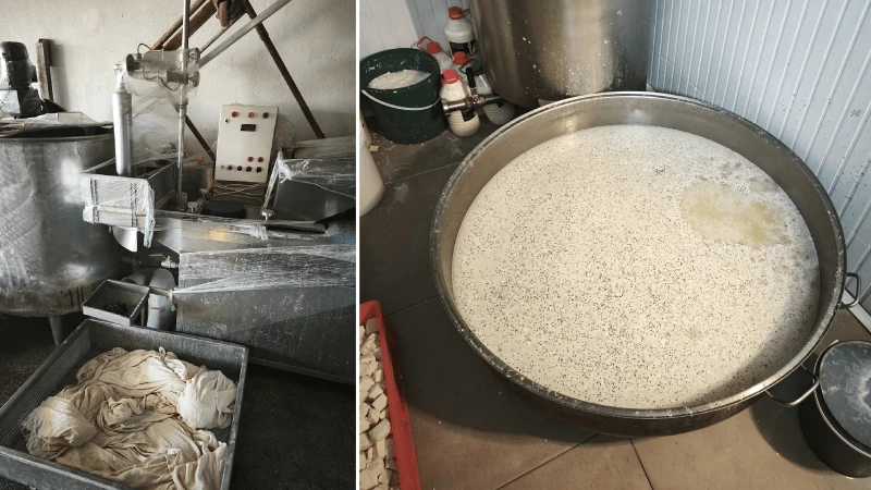 Başkentte 9 ton bozuk süt ve süt ürünü ele geçirildi