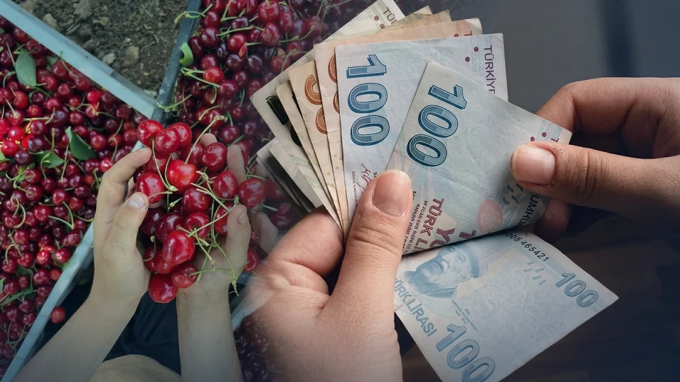 Gaziantep kirazı ve iklim krizi: Fırtına vurdu, yüzde 70 rekolte kaybı yaşanıyor | Ekonomi Haberleri