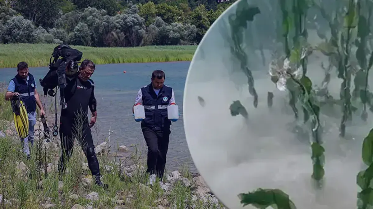 Sapanca Gölü'nün 2 metre derinliğinde keşfedildi! Yetkililerden açıklama geldi