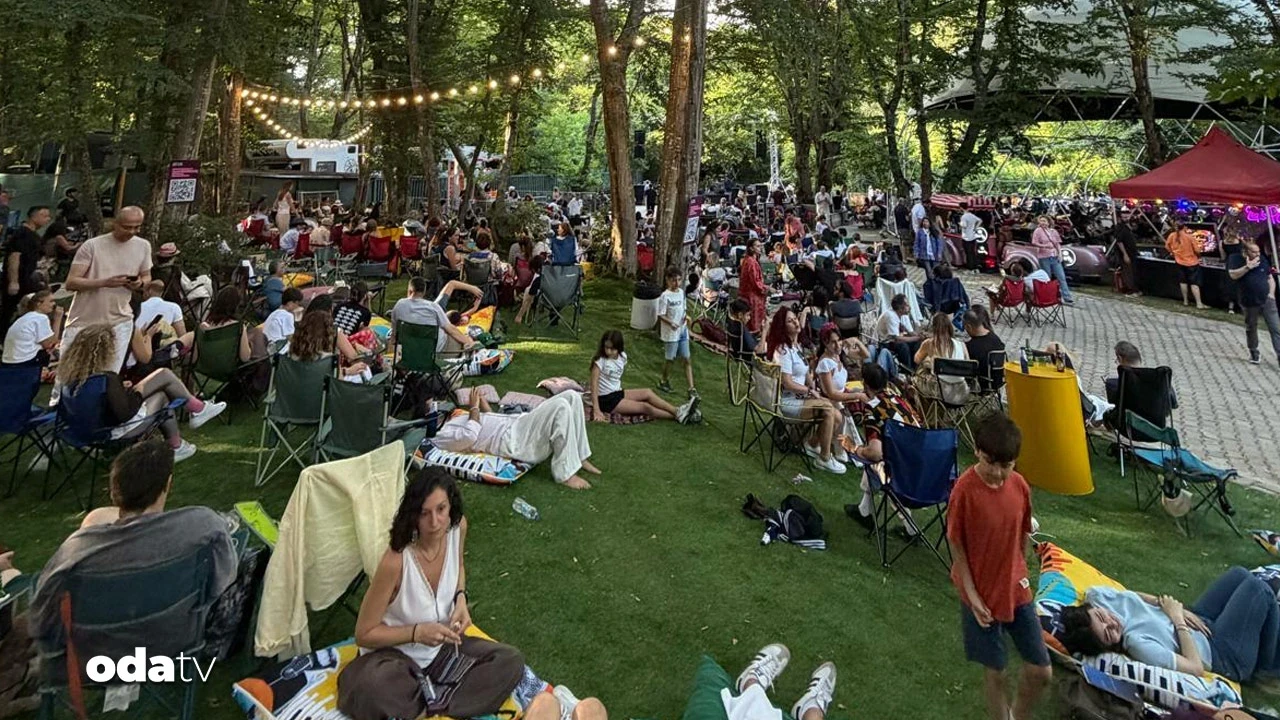 Ormanın İçinde müzik şöleni
