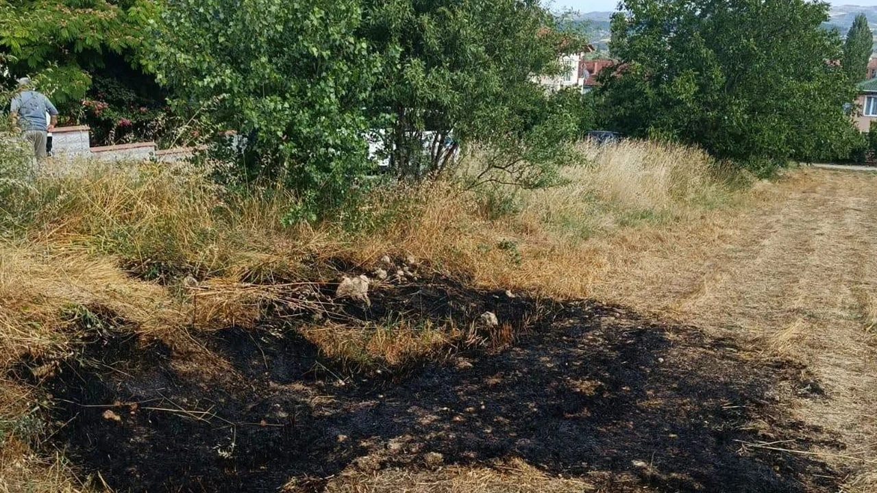 Gölpazarı’nda çıkan anız yangını söndürüldü