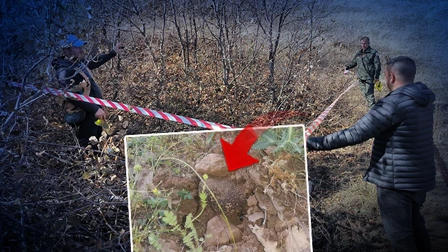 Erzurum ve Erzincan'ın ilçelerinde yer altından 'kara elmas' çıktı: Kilogram fiyatı 750 avro
