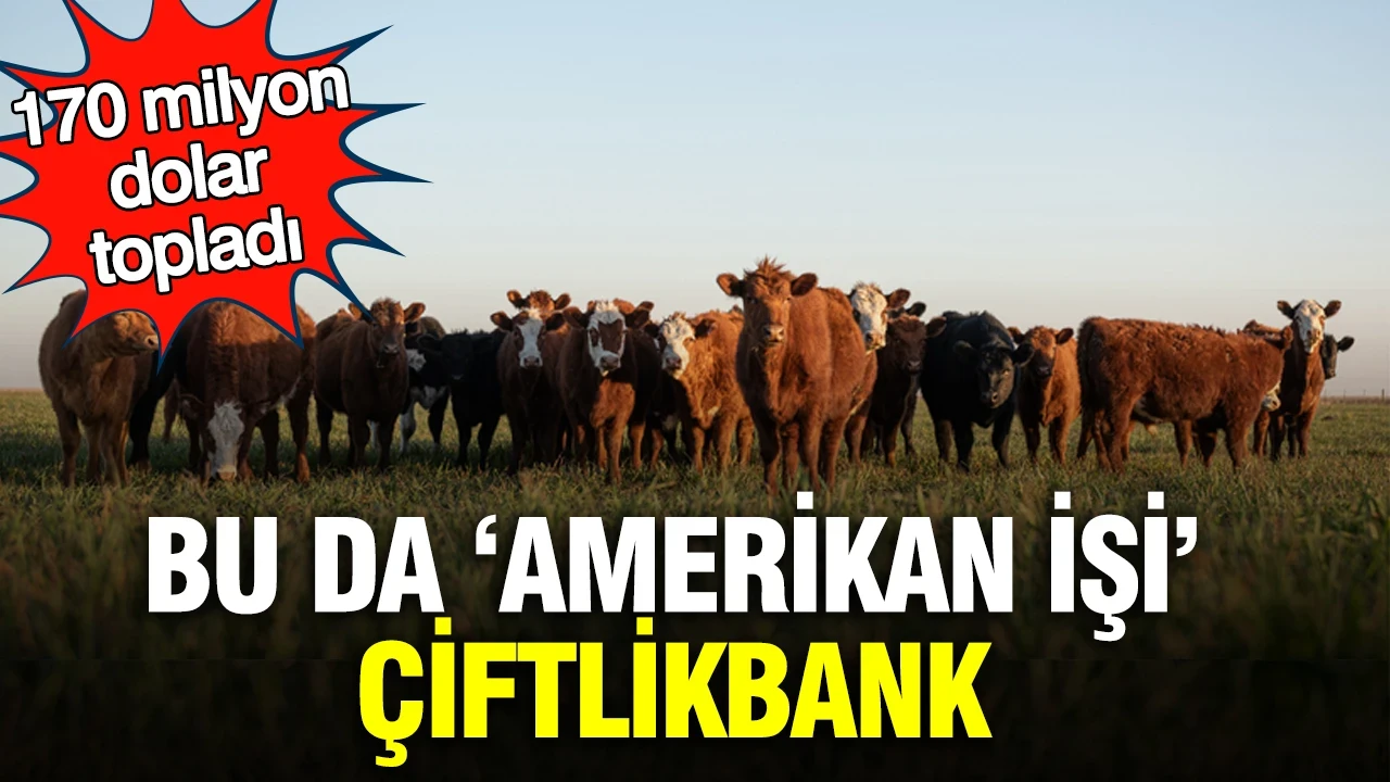 Bu da ‘Amerikan işi’ Çiftlikbank: 170 milyon dolar topladı