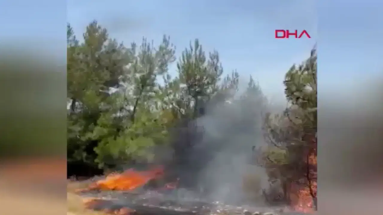 Muğla'da tarım arazisinde çıkan yangın ormana sıçradı