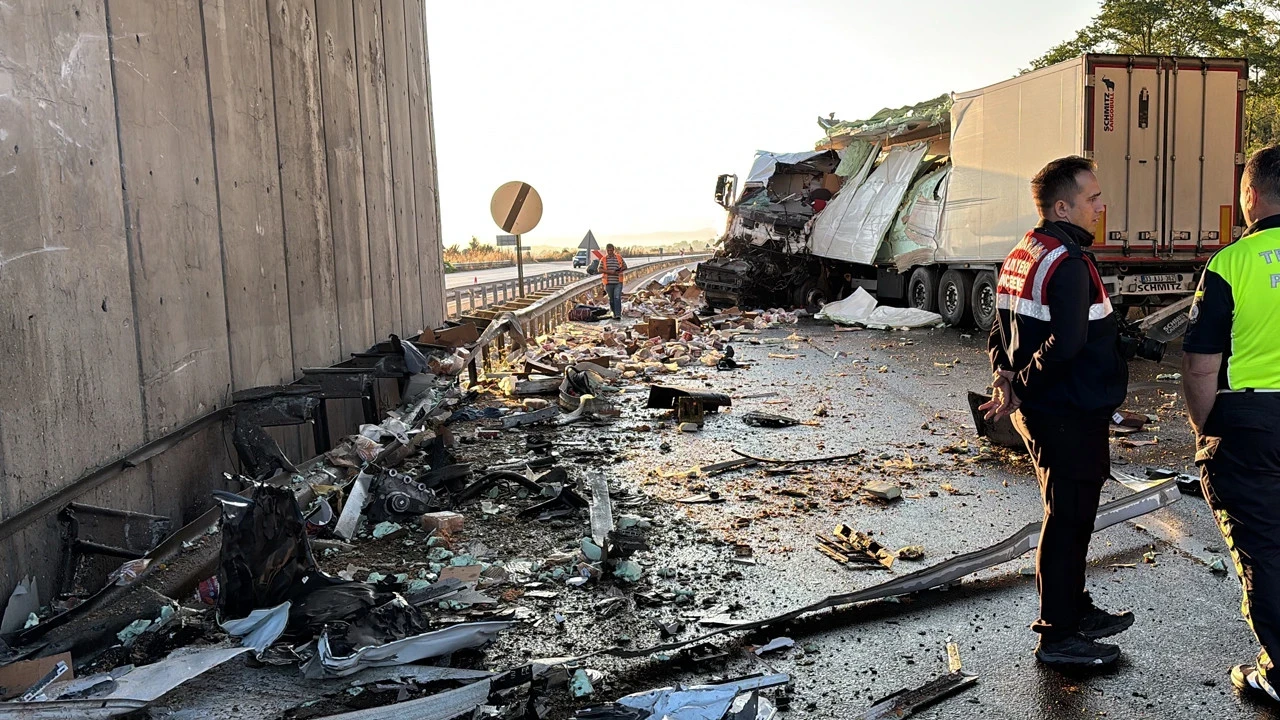 TIR köprü istinat duvarına çarptı: Tonlarca tavuk eti yola saçıldı