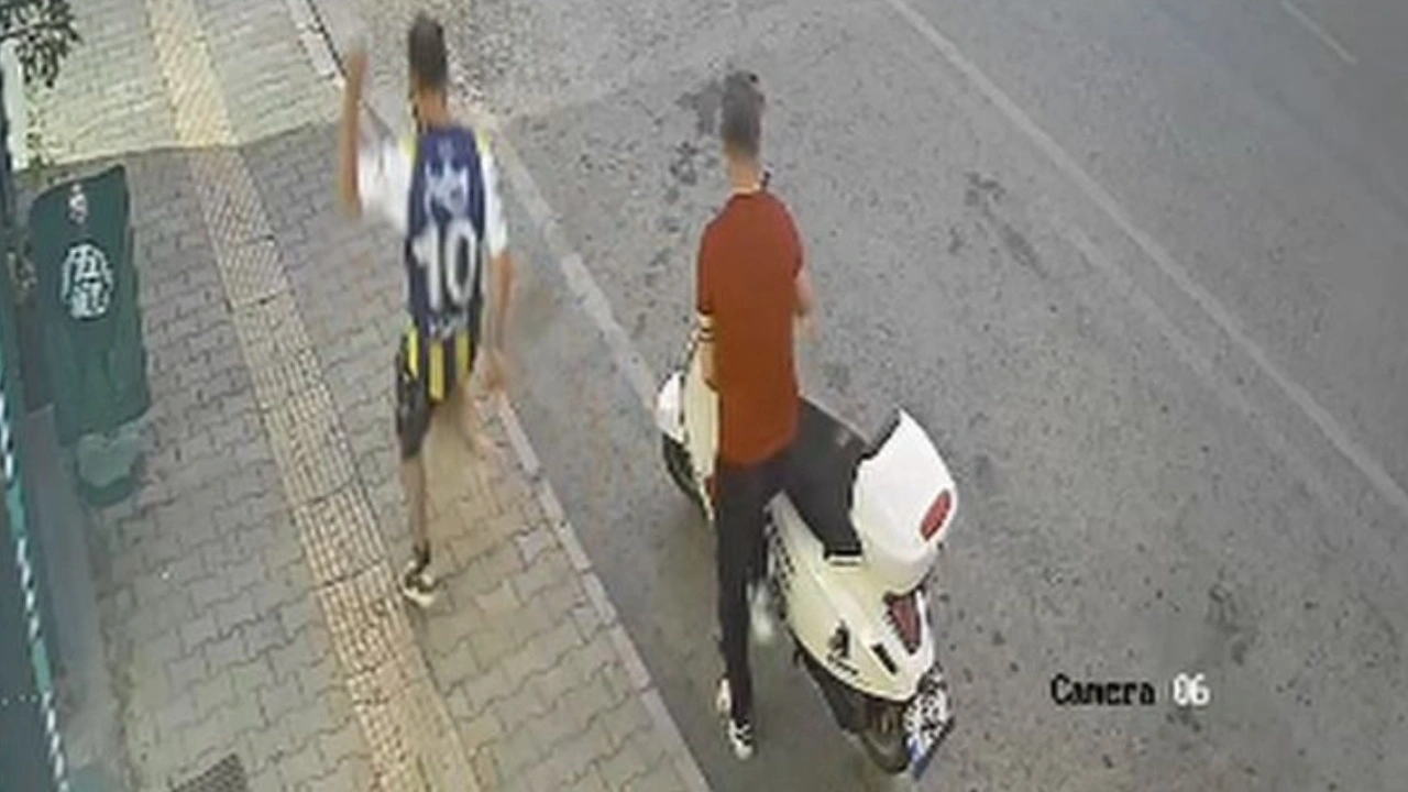 Samsun'da kediyi tekmeleyen kişi tutuklandı
