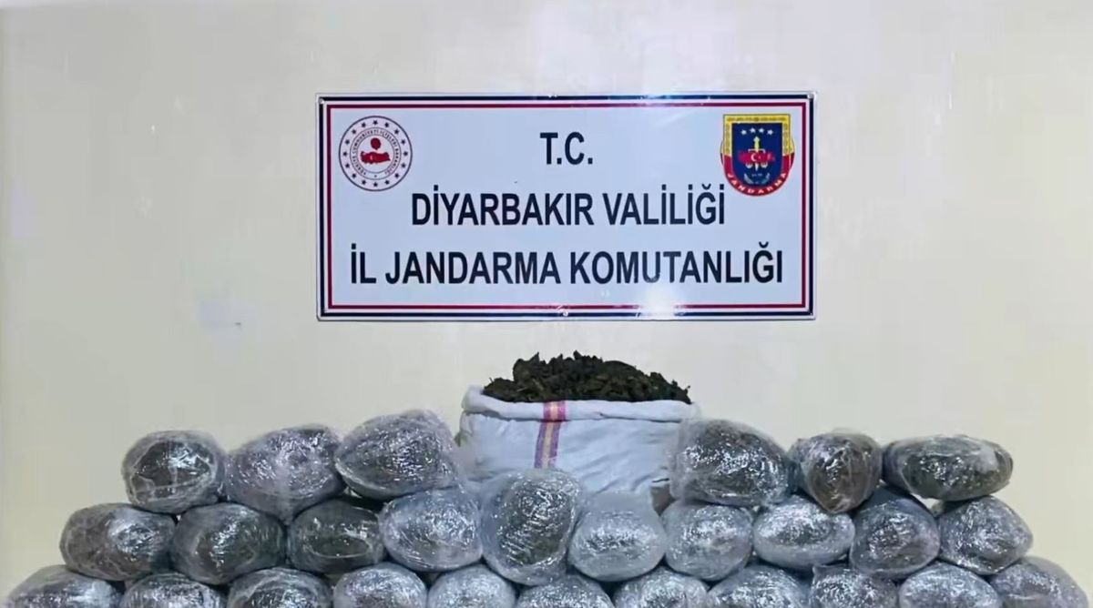Diyarbakır'da 1 Milyon 755 Bin 212 Kök Kenevir ve Skunk Ele Geçirildi